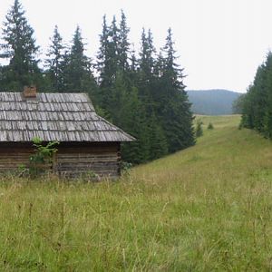 P8160899-901