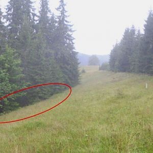 P8160916-7.Отметка леса с источником