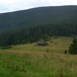 P8170944-7