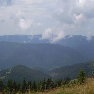 P8170969-73