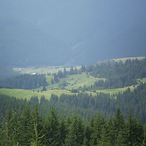 P8170974