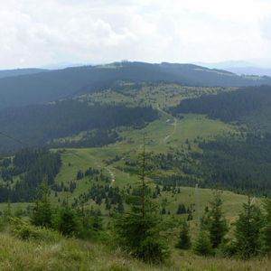 P8170979-81