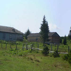P8181019-23