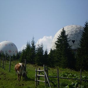 P8181027