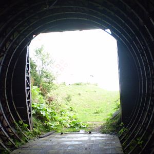 P8181084