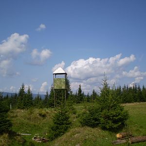 P8181086