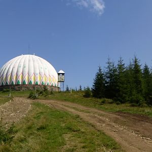 P8181106-8