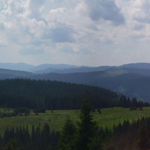 P8181110-6