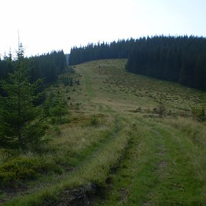P8140700