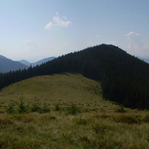 P8140714-17