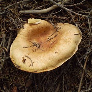 P8140740