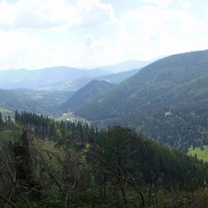 P8140772-3