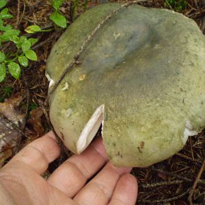 P8120512