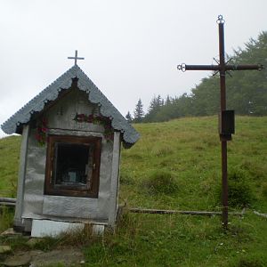 P8120530