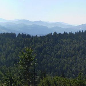 P8130565-71