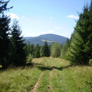 P8130590