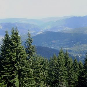 P8130605-9