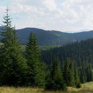 P8130659-61