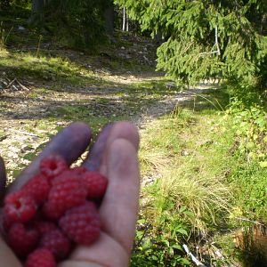 P8130666
