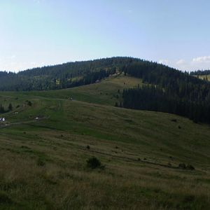 P8130674-6