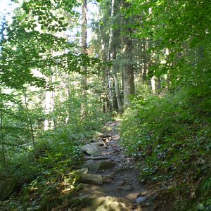 P8080327