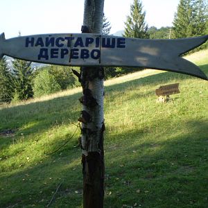 P8100368