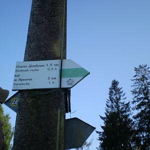 P8100370