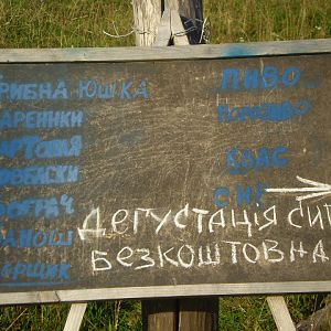 P8100393