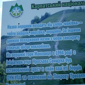 P8110422