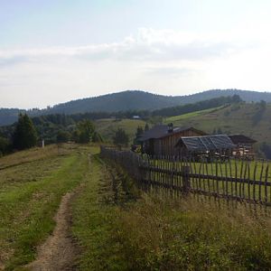 P8110440-1