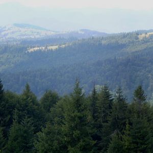 P8110474-8
