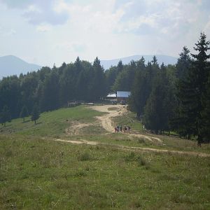 P8110491