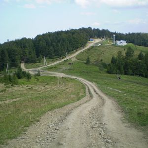 P8110496