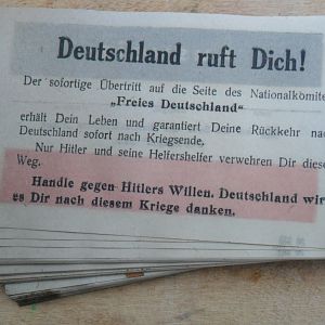 1 Konteiner 5