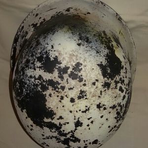 2019-03-01 14.51.44