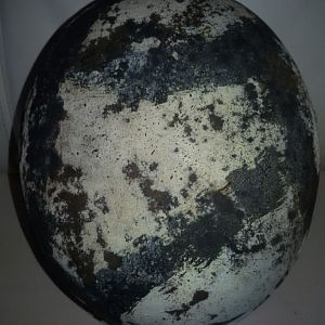 2019-03-04 15.02.58