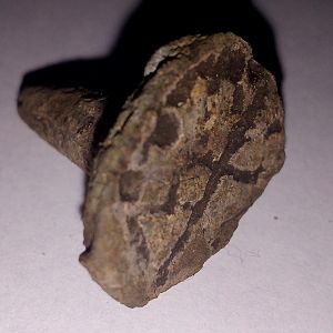 IMG_20190401_130812
