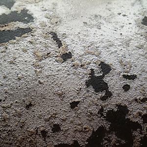 20190501_182109