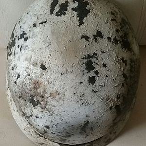 2019-05-01 19.35.58