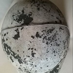 20190502_175849