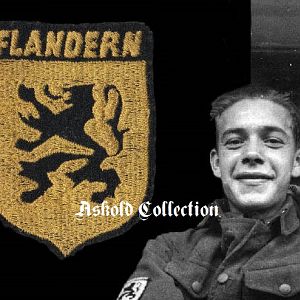 Flandern Org Todt Woven Shield A