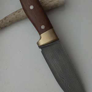 IMAG2852