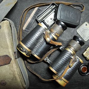 41