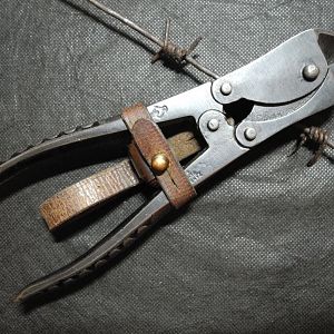 61