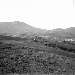 Richardson Bay Vista