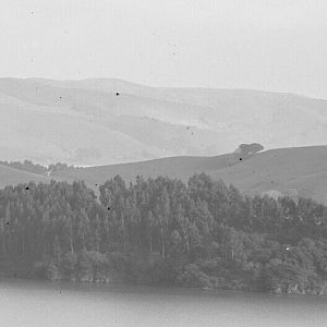 Marin County