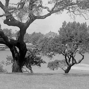Lake Merritt