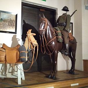 IMG_20190803_140347