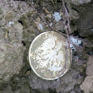 IMG_20200105_120803