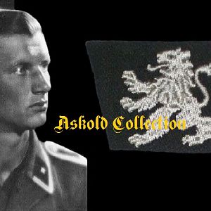 SS Galicia collar tab, enlisted version - Рядова петлиця СС Галичина